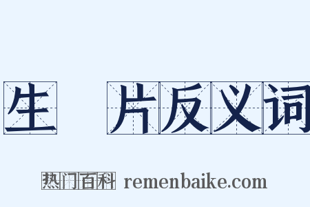 生魚片反义词是什么意思的图片